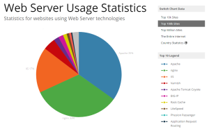 Web Server Usage Statistics
