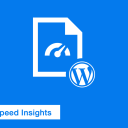 Google PageSpeed Insights - WordPress