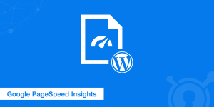 Google PageSpeed Insights - WordPress