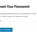 How to Build a Front-end Password Reset Form in WordPress