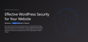 WordPress Security